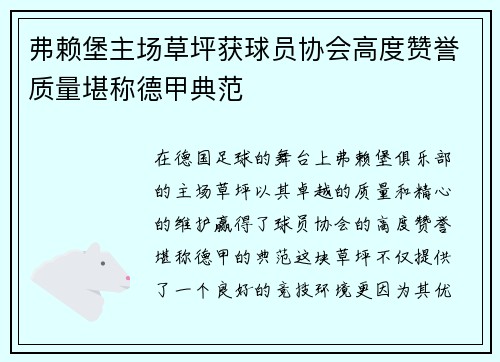 弗赖堡主场草坪获球员协会高度赞誉质量堪称德甲典范